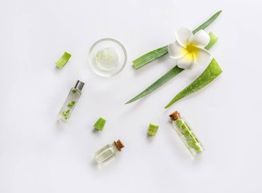 Beyaz arka plan üzerinde uçucu yağ ile Taze aloe yaprakları