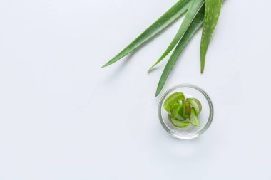 Beyaz arka plan üzerinde kase ile taze aloe yaprakları