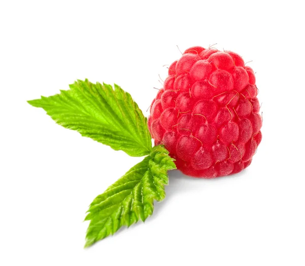 Sweet ripe raspberry on white background — Stock Photo, Image