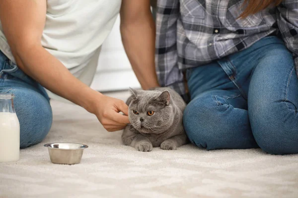 Счастливая пара кормит милую кошку на кухне — стоковое фото