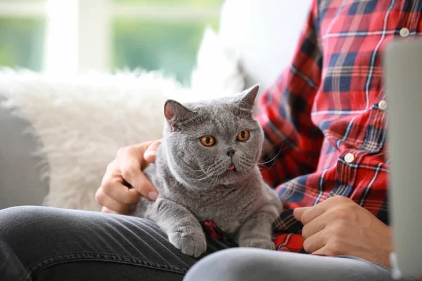 Young man with cute cat at home — Stock Photo, Image