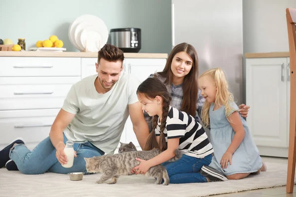 Happy family feeding cute cats in kitchen — Stock Photo, Image