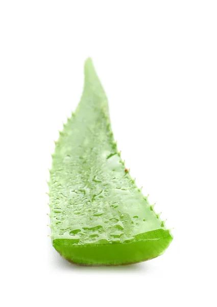 Fresh leaf of aloe plant on white background — Stock Photo, Image