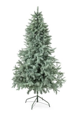 Beyaz zemin üzerine yeşil çam ağacı