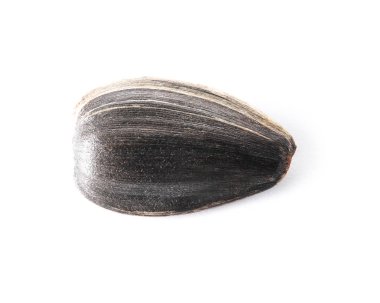 Beyaz arkaplanda ayçiçeği tohumu