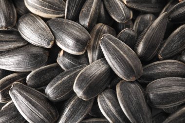 Arka plan olarak birçok ayçiçeği tohumu