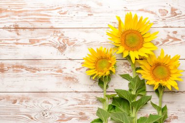Ahşap arka planda güzel ayçiçekleri