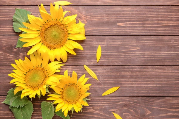 Beautiful sunflowers on wooden background — Stock Photo, Image