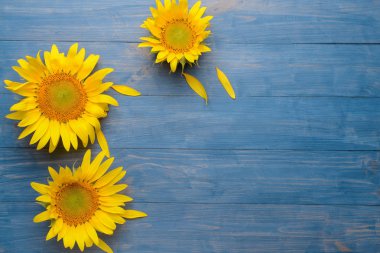 Ahşap arka planda güzel ayçiçekleri