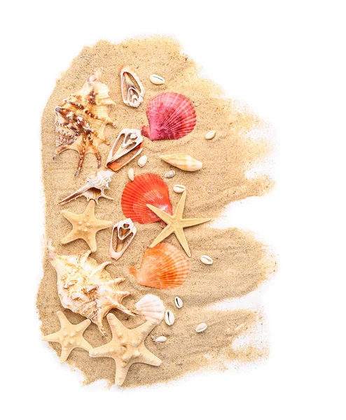 白い背景に美しい貝殻、ヒトデと砂 — ストック写真