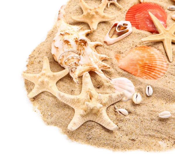 Beautiful sea shells, starfish and sand on white background — Stock Photo, Image