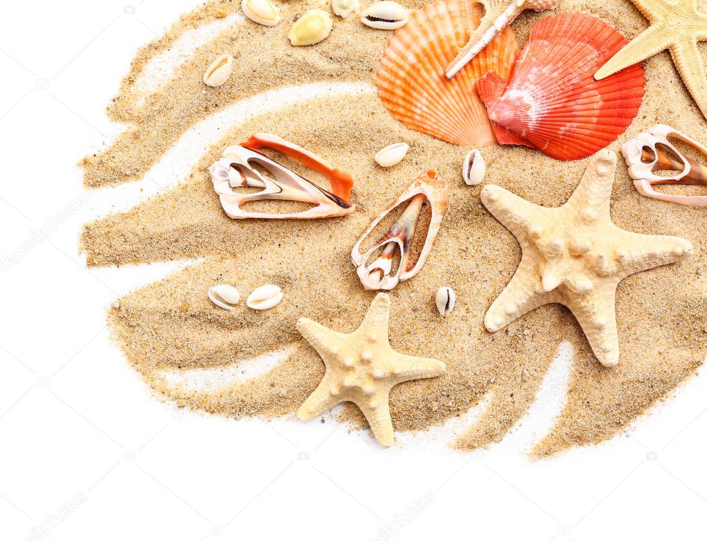 Beautiful sea shells, starfish and sand on white background