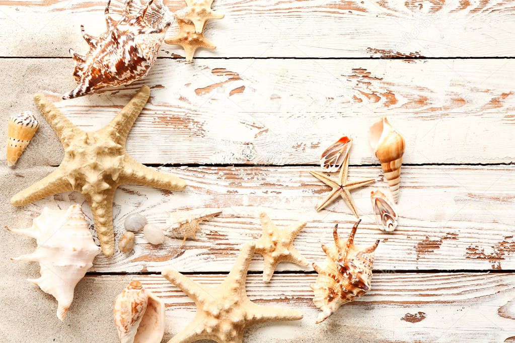 Beautiful sea shells and starfish on wooden background