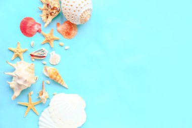Güzel deniz kabukları ve denizyıldızları renkli arka plan üzerinde