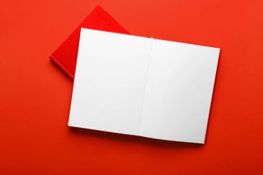 Renkli arka plan üzerine iki kitap