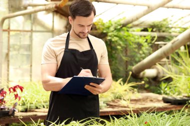 Serada çalışan erkek ziraat mühendisi