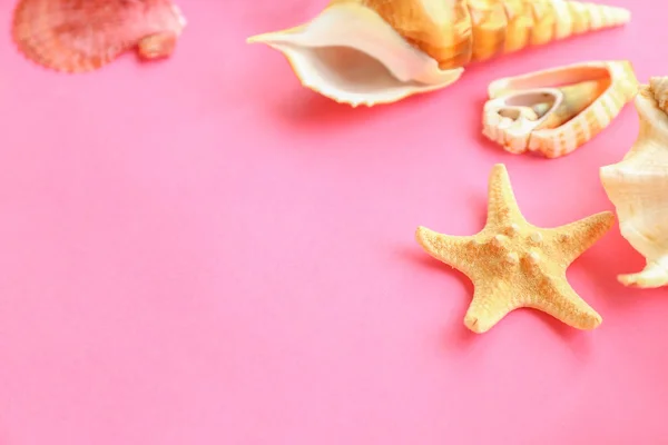 Красивые морские раковины и морские звезды на цветном фоне — стоковое фото