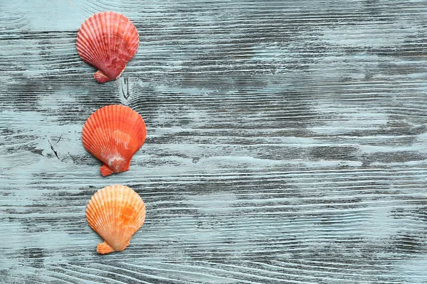 Beautiful sea shells on wooden background — Stock Photo, Image