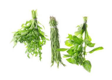 Beyaz arka plan üzerinde farklı taze otlar