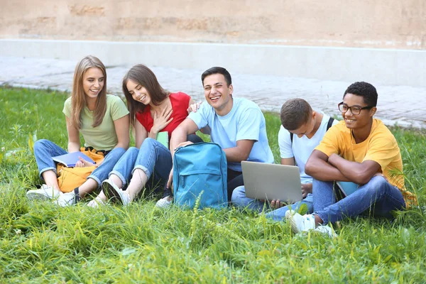 Ritratto di giovani studenti seduti sull'erba all'aperto — Foto Stock