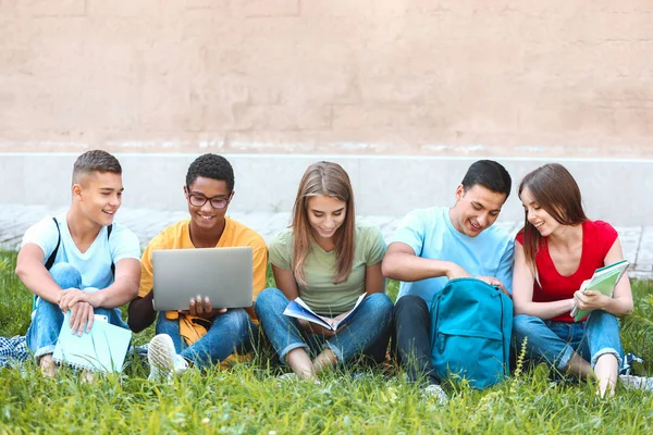 Portret van jonge studenten zittend op gras buiten — Stockfoto