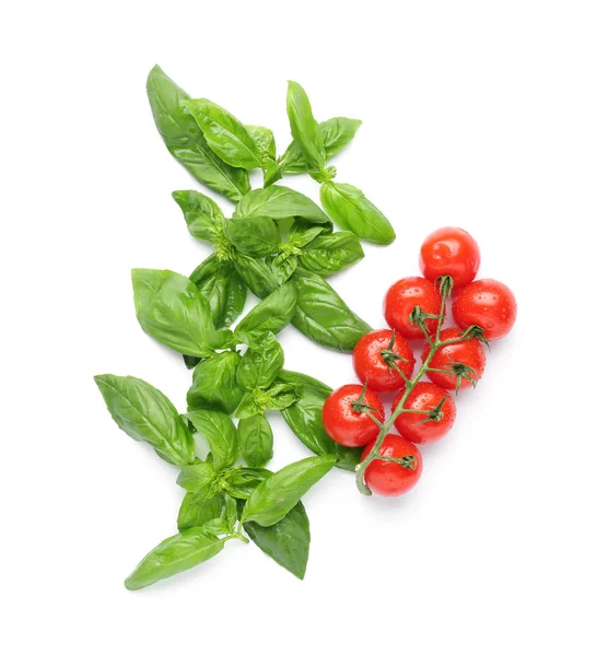Fresh basil and tomato on white background Stock Picture