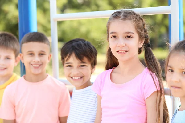 Sevimli küçük çocuklar oyun alanında