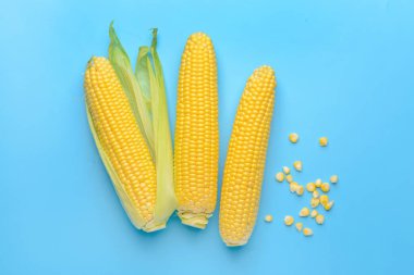 Renkli arkaplanda taze mısır koçanları