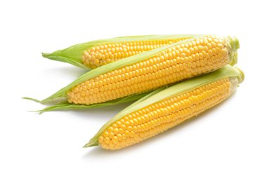 Beyaz arkaplanda taze mısır koçanları