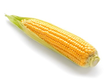 Beyaz arkaplanda taze mısır koçanı