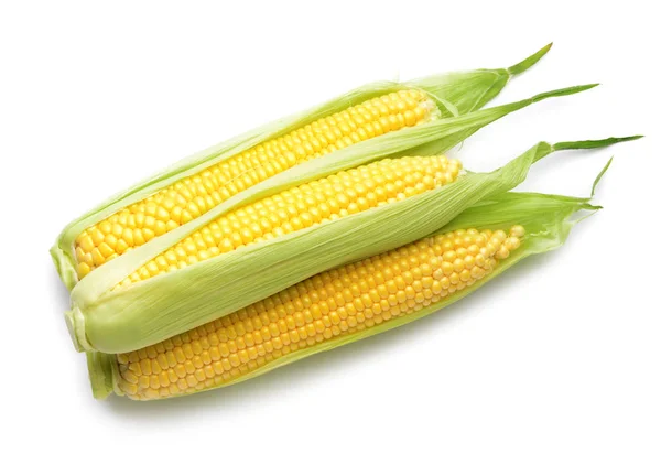 Fresh corn cobs on white background — Stock Photo, Image