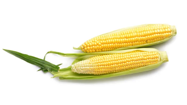 Friss kukorica cobs fehér háttér — Stock Fotó