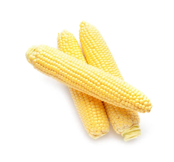 Fresh corn cobs on white background — Stock Photo, Image