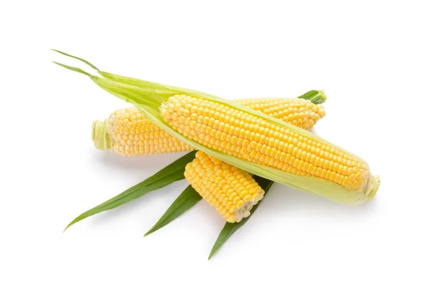Färsk majs kolvar på vit bakgrund — Stockfoto