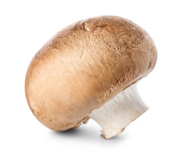 Fungo fresco su sfondo bianco — Foto Stock