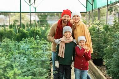 Serada Noel ağacı nı seçen aile