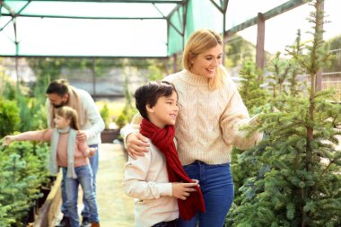 Serada Noel ağacı nı seçen aile