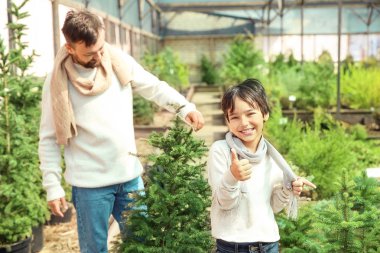 Baba ve oğul serada Noel ağacı nı seçiyor
