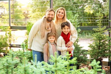 Serada Noel ağacı nı seçen aile