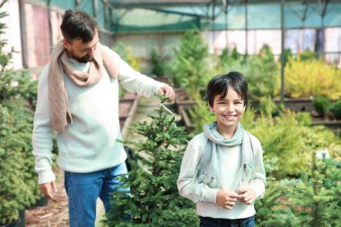 Baba ve oğul serada Noel ağacı nı seçiyor