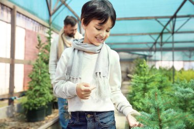 Baba ve oğul serada Noel ağacı nı seçiyor