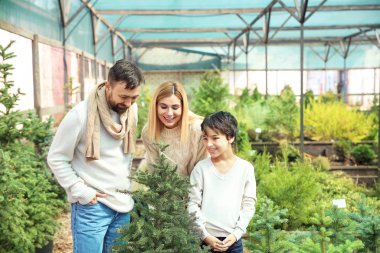 Serada Noel ağacı nı seçen aile