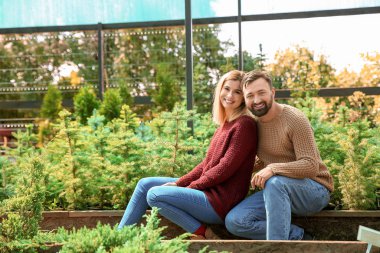 Serada Noel ağacı nı seçen çift