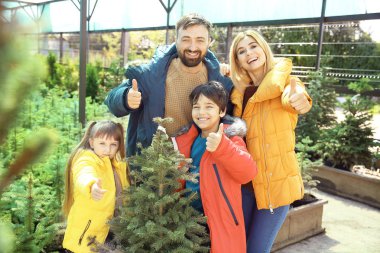 Serada Noel ağacı nı seçen aile