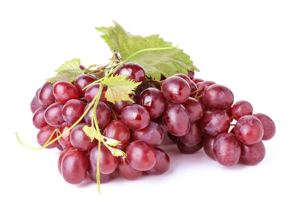 Raisins frais savoureux sur fond blanc — Photo