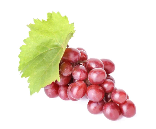 Смачний свіжий виноград на білому тлі — стокове фото