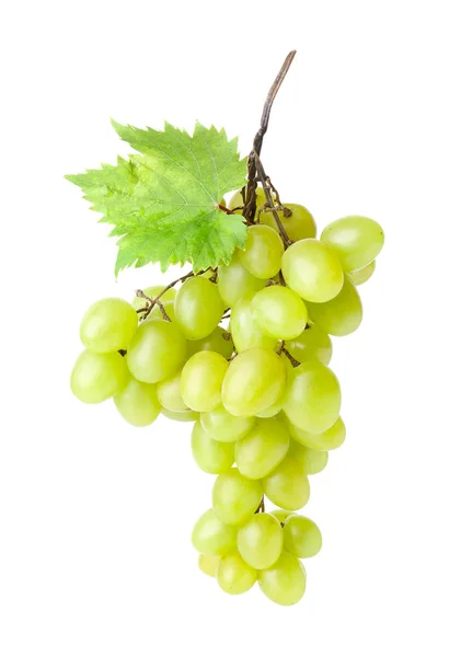 Uvas frescas sabrosas sobre fondo blanco — Foto de Stock