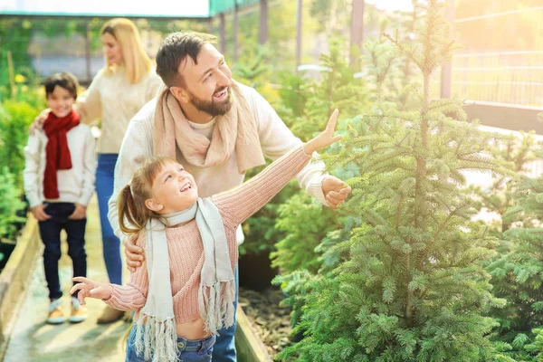 Familia eligiendo árbol de Navidad en invernadero — Foto de Stock