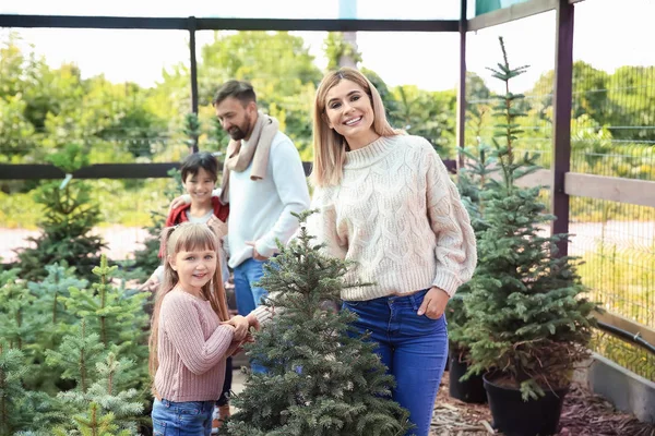 Familia eligiendo árbol de Navidad en invernadero — Foto de Stock