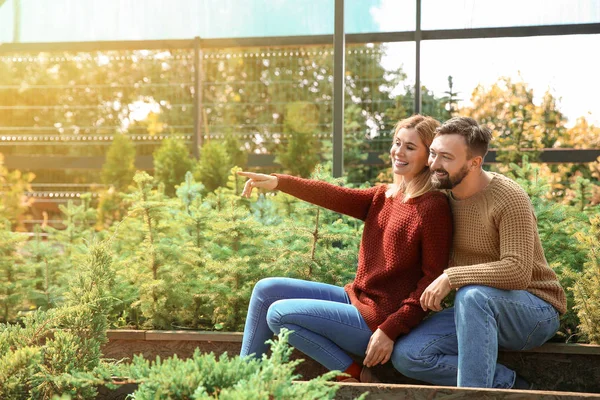 Couple choosing Christmas tree in greenhouse — Stock Photo, Image